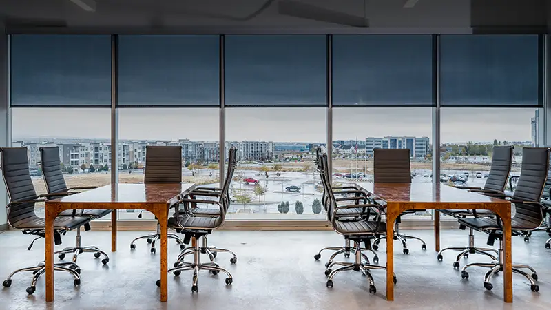 Draper Interior Window Shades