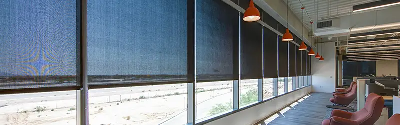 Draper Interior Window Shades