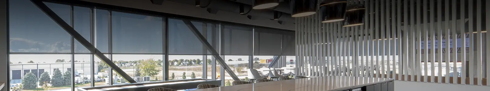 Draper Interior Window Shades